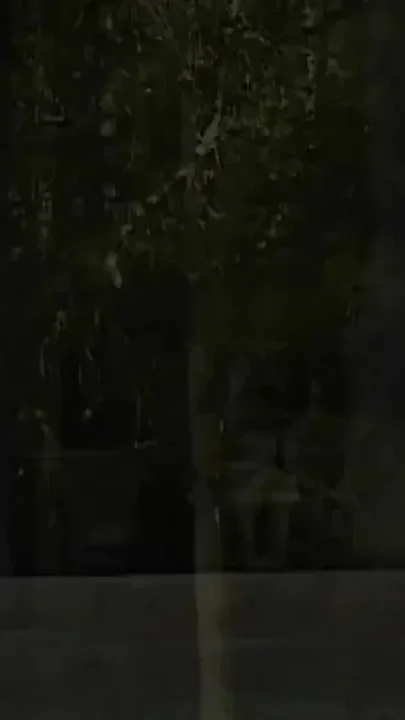 Backwoods Bears Group Fuck