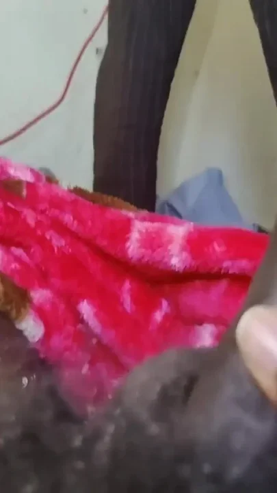 Desi Pussy