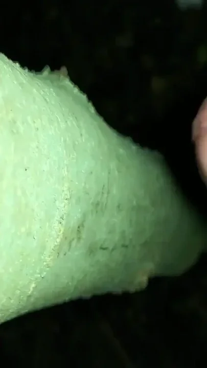 I Added My Cum on 