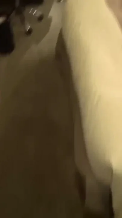 Cute Gyaru Gets Raw Inside Screaming Nonstop Soft Boobs Thick Body Squirting Won Ft Stop