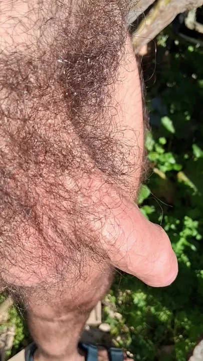 Soft to hard cock