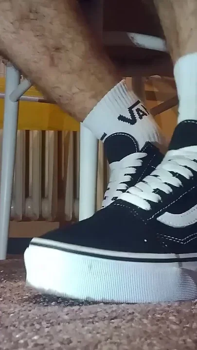 New Vans Shoes