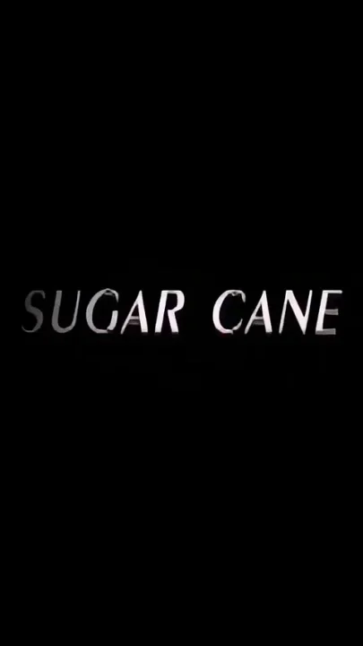 Sugar Kain Fuck Me Well and Then Cum on My Lips