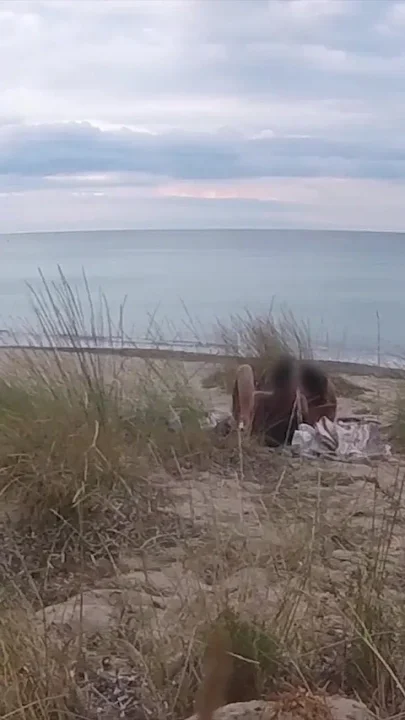 French Teacher Slut Blowjob Amateur on Nude Beach Front Stranger with Cumshot - Misscreamy