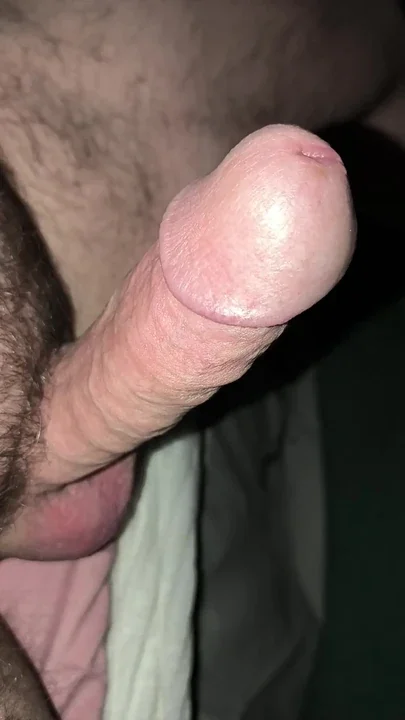 Morning Wood