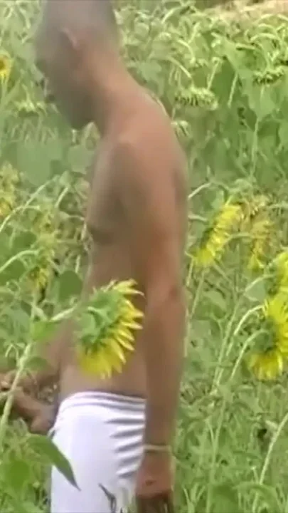 Gay man sex in the car summer time