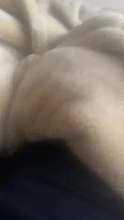 Hard cock every day of the morning