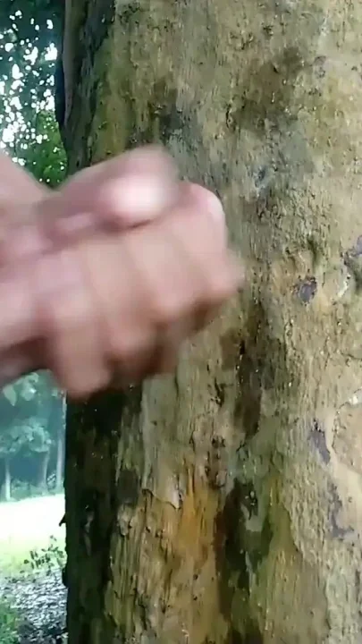 Big Cock Cumshot on Tree