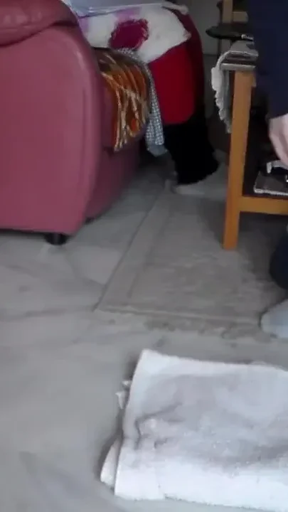 John is peeing alot on a towel