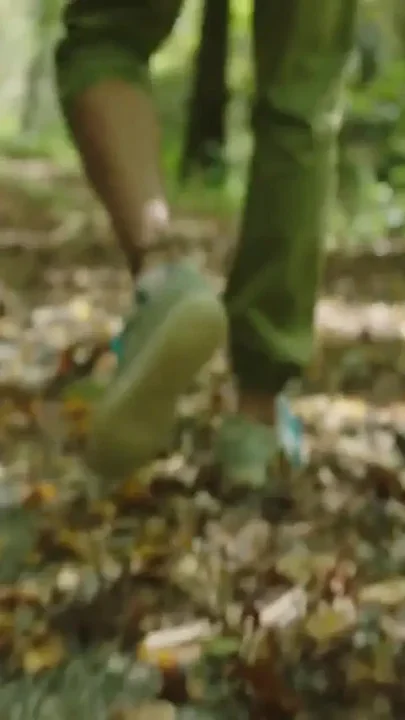 Forest Hookup