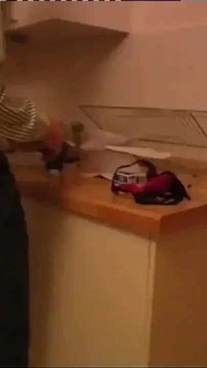 Pussy fucking pussy licking pussy fingering in the bedroom