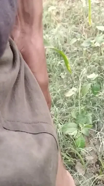 Indian Boy Pissing in Morning