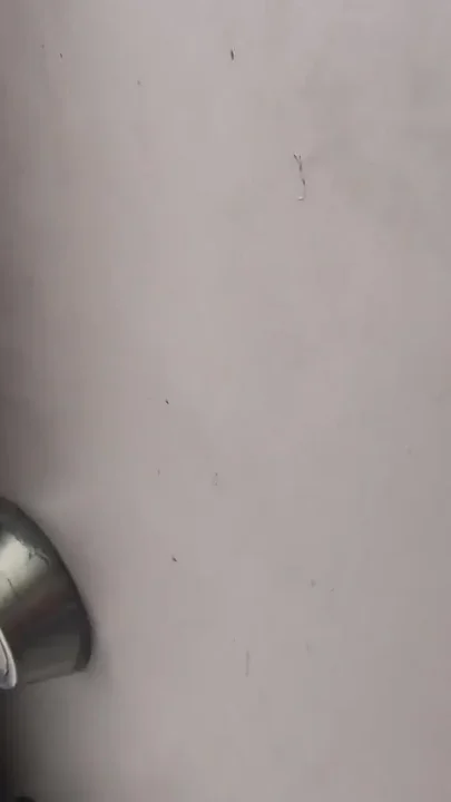 Neighbor Can You Give Me a Cup of Sugar
