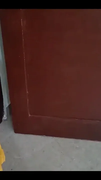 Indian Maid's Pussy