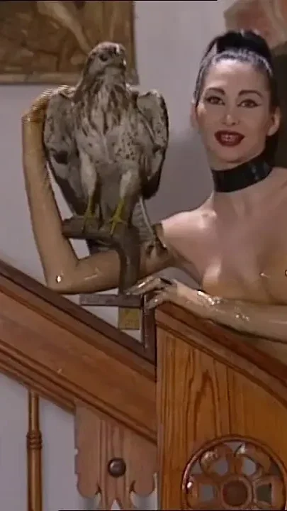 Five Busty Horny Was Satisfied to Have Sex to Each Others