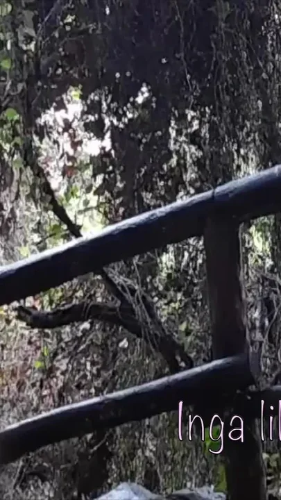 Forest Nymph Masturbate