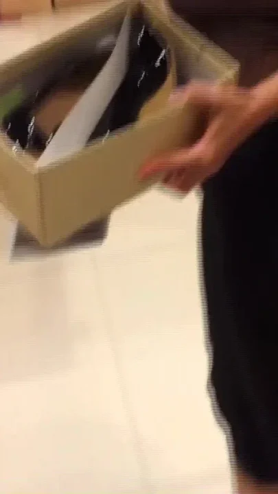 Shopping for New Black Pumps