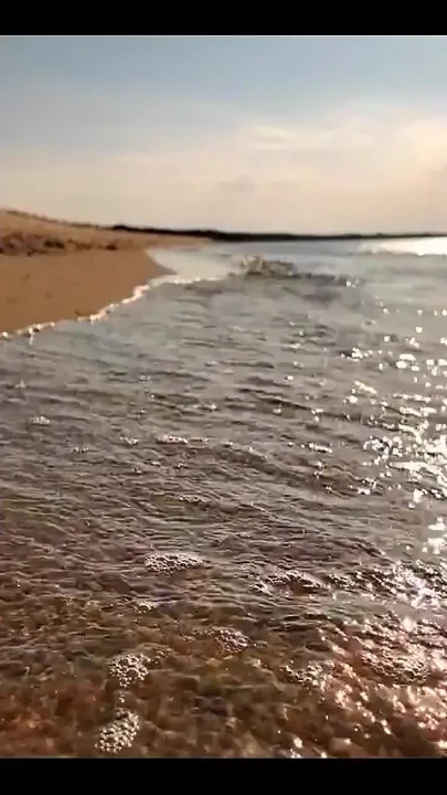 Would You Like to See My Breasts Dripping of Seawater