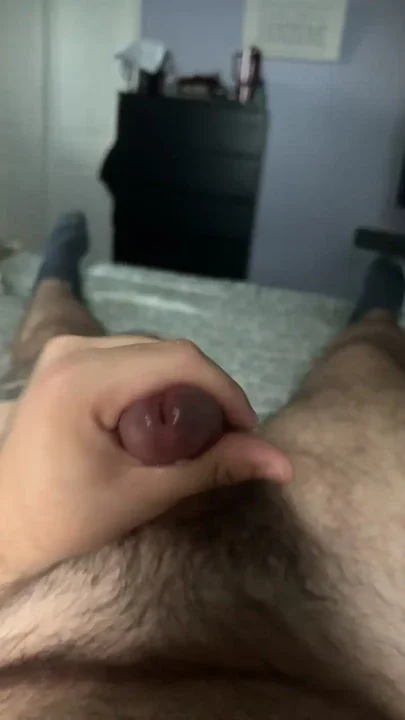 Horny cub