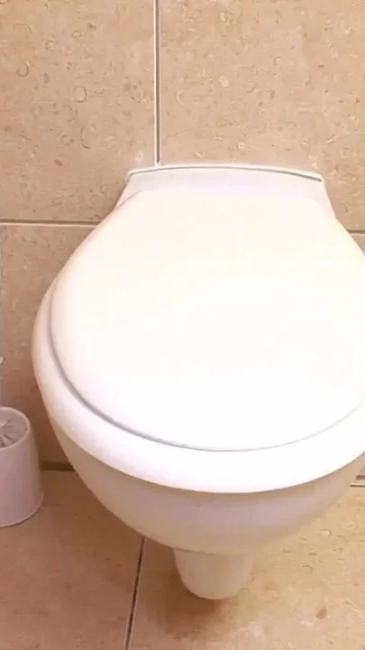 MILF Constantina Having Sex on the Toilet