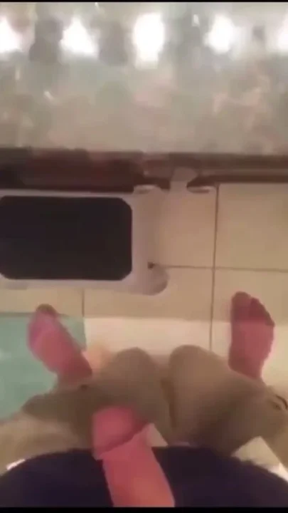 Big dick big cock