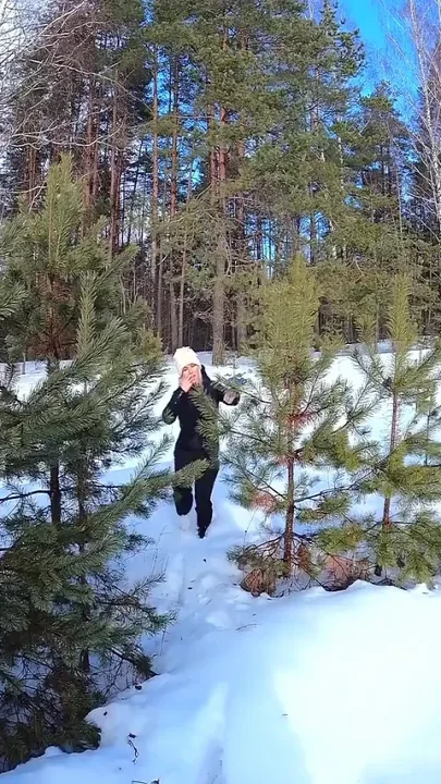 I Got Lost in the Forest and Forester Vitya Showed Me the Way 4K