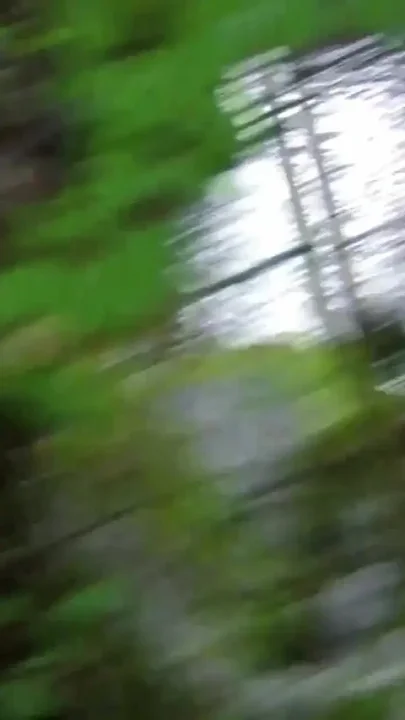 Big pussy in the forest