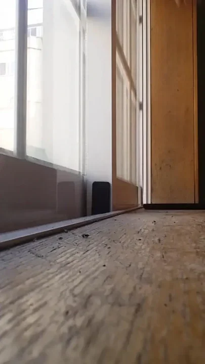 Making an exhibition for the neighbor of the next building