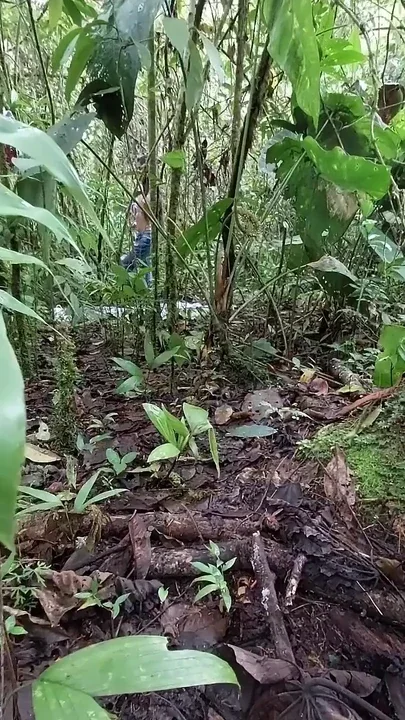 I Encounter a Colombian Masturbating in the Jungle