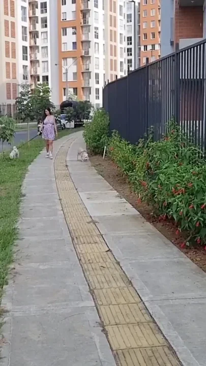 Pregnant Woman Has Quick Sex with Her Neighbor on the Stairs of Her Building -