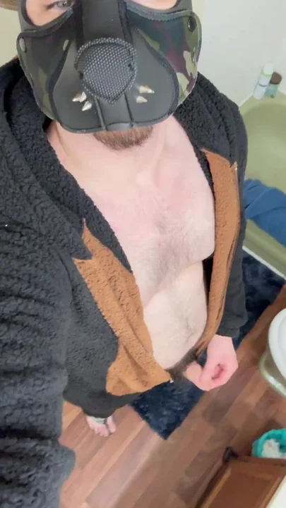 pup cums on camera