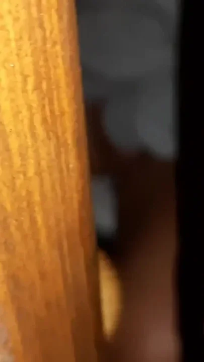 I'm catching on my stepsister masturbating in the toilet Clip 1