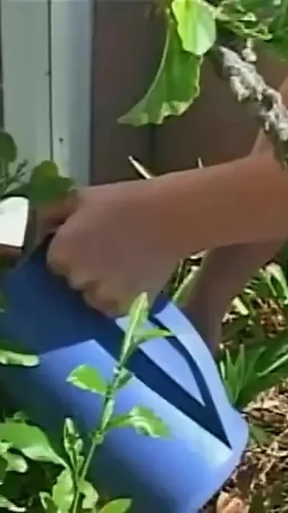 Huge boobs blonde milf fucking licking big cock sucking in the garden