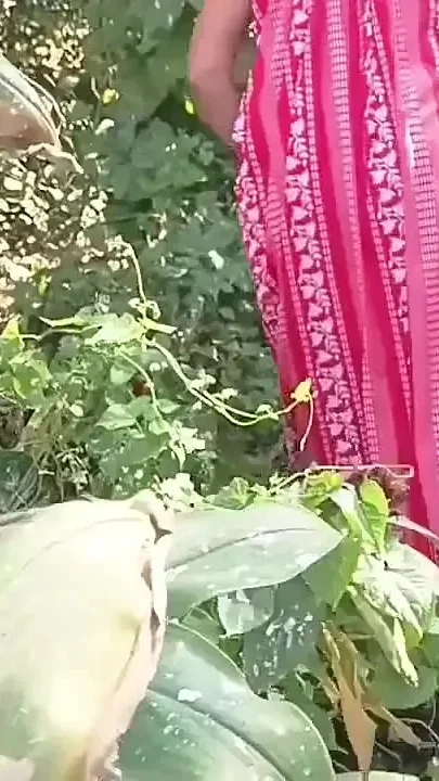 Bhabhi Sucks in the Jungle