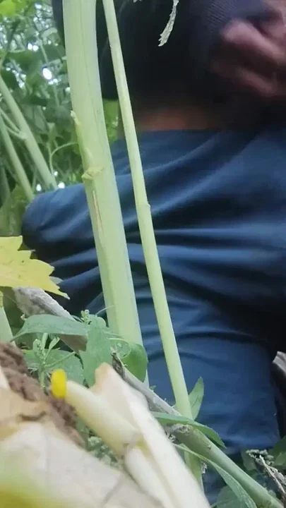 Jungle mein sex karne ka maja hi kuchh aur Hai Clip 1