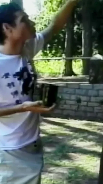 Blonde Skinny Shemale Fucked Hard Anally by Guys Outdoors