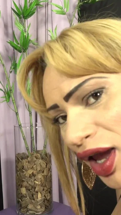 Latina tgirls suck stroke and toy each other to climax