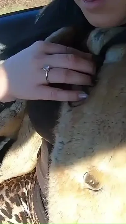2-hour Outdoor Risky Blowjob & Fuck Compilation - Wild & Uncut Pleasure