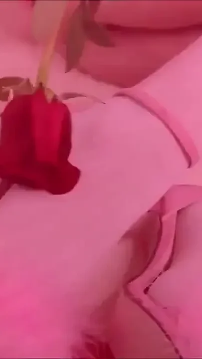 Happy Valentine's Day
