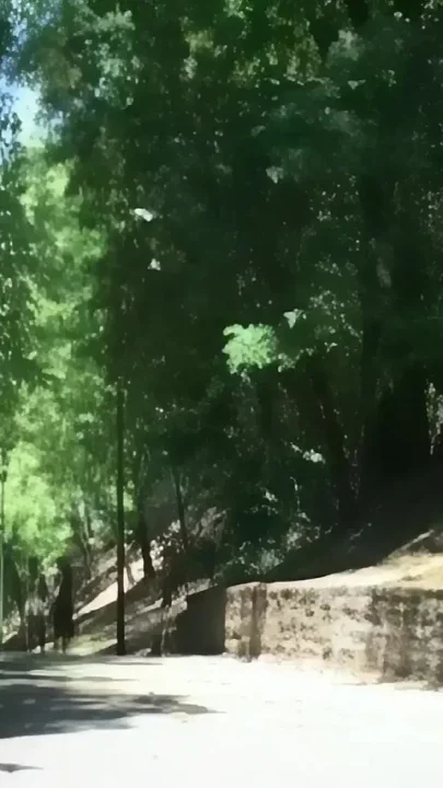 Friends Walk Together