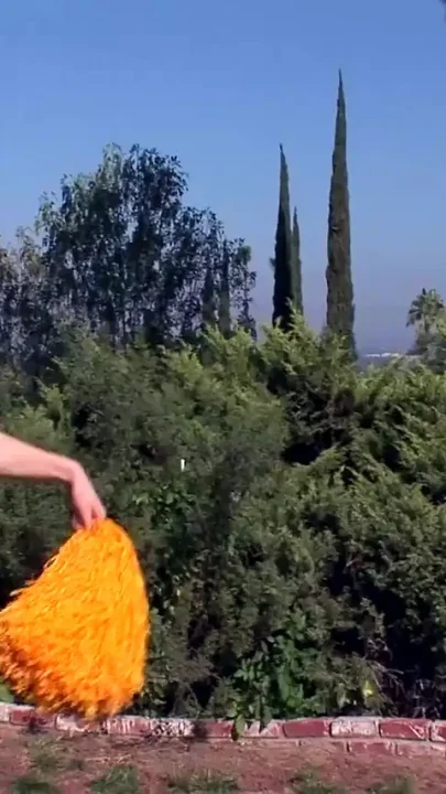 Banged hot cheerleader in my garden