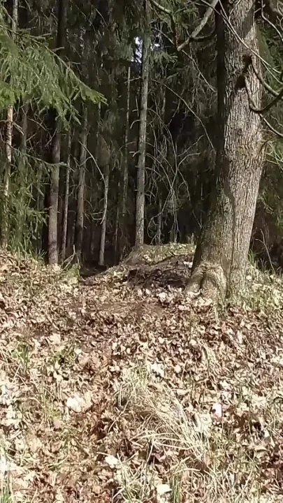 Jogging And Pissing by Got2Pee where girls come to piss