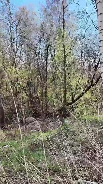 Teen Public Anal Fucked From a Stranger