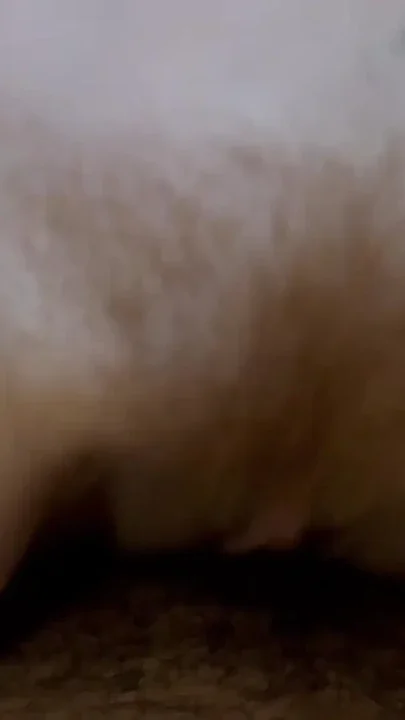 Tribbing w POV I wont let my wife go to bed until I rub my hairy pussy on theirs Clip 1