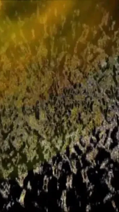 Napoleon
