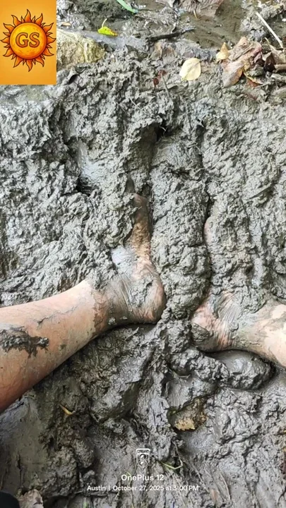 Barefoot Mud ASMR in the Forest Sensory Squish Nature Walk & Grounding