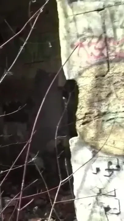 Straight boy fucked outdoor by Fred