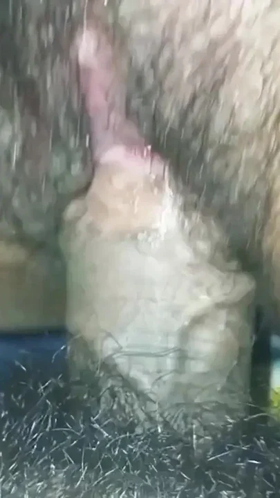 My girl is watching on her phone while I fuck her Clip 2