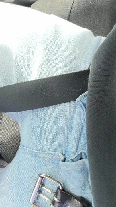 Horny in the car