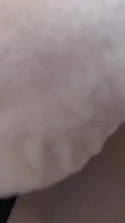Casino cum sponger